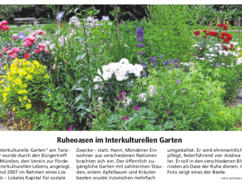 Ruheoasen im Interkulturellen Garten